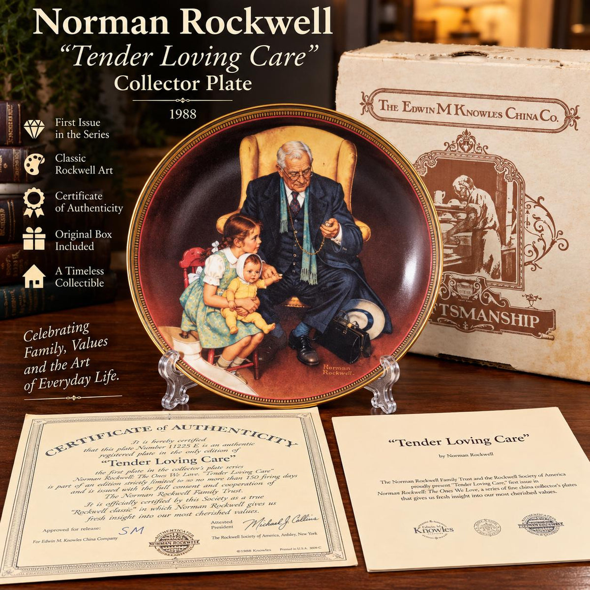 Plato de Colección Norman Rockwell “Tender Loving Care” – 1988 – Con Certificado de Autenticidad